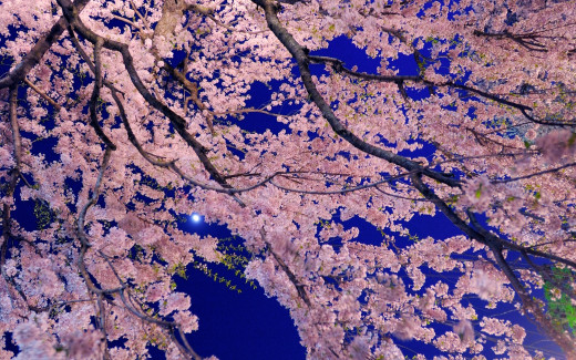 507600 (a): :2560x1600